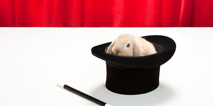 Rabbit in top hat with magic wand (Getty)