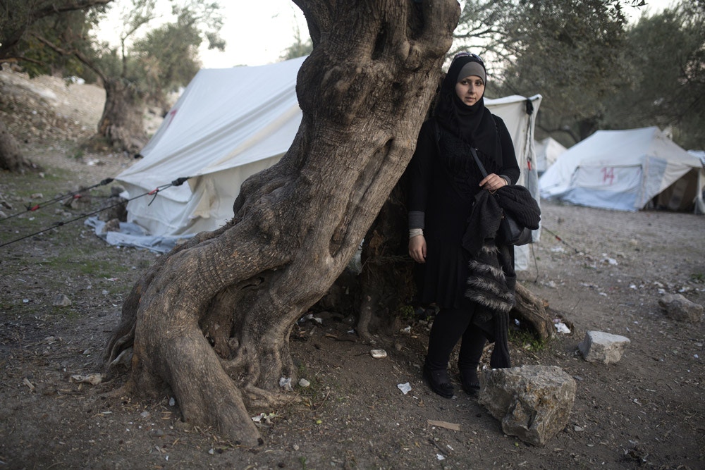 Syrian refugee Sima Farauate, 27 stands by an old olive tree at the Kara Tepe transition camp located on the outskirts of the city of Mytilini on the Greek Island of Lesbos on November 19,2015. She fled Syria with her husband and they were smuggled by boat from Turkey across the Aegean Sea to Lesbos.(Photo by Heidi Levine for The Intercept).