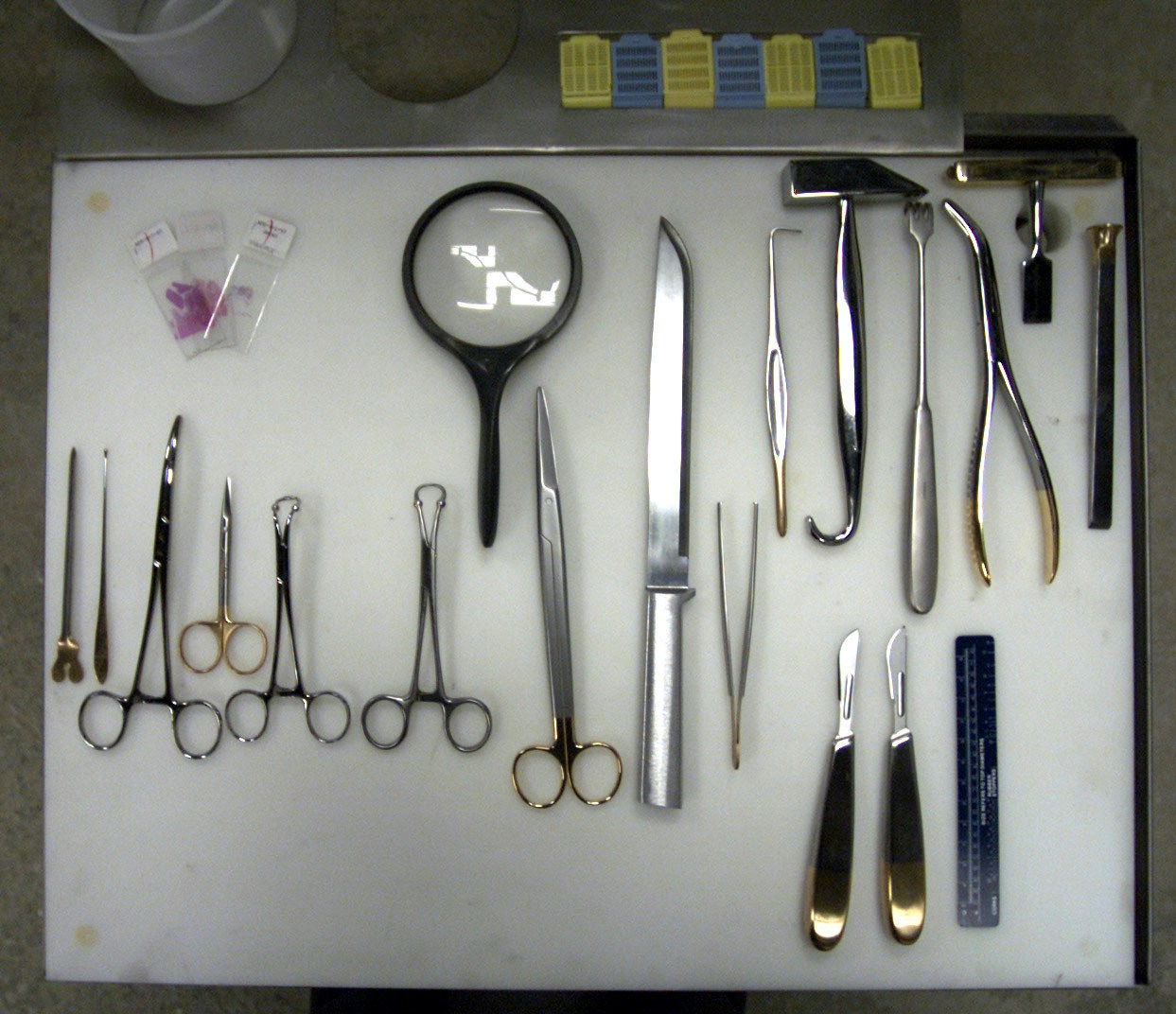 Some of the tools used to perform an autopsy.