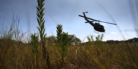FALFURRIAS, TX - AUGUST 06:  A U.S. Office of Air and Marine helicopter searches for undocumented immigrants north of the U.S.-Mexico border on August 6, 2015 near Falfurrias, Texas. Border security and illegal immigration are expected to be major issues in the U.S. Presidential debates.  (Photo by John Moore/Getty Images)