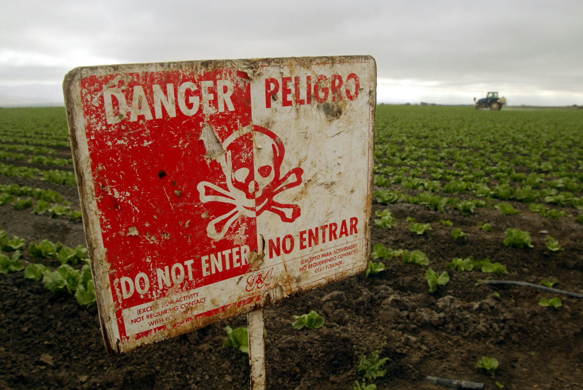 A "Do Not Enter" sign marks a field of head cabbage during the spraying of pesticides near Chualar, Calif., Monday, Sept. 16, 2002.  State reports of pesticide poisonings among farmworkers are declining, but labor advocates say that tougher state laws and more enforcement are needed to adequately protect the people picking and packing crops. (AP Photo/Mike Fiala)