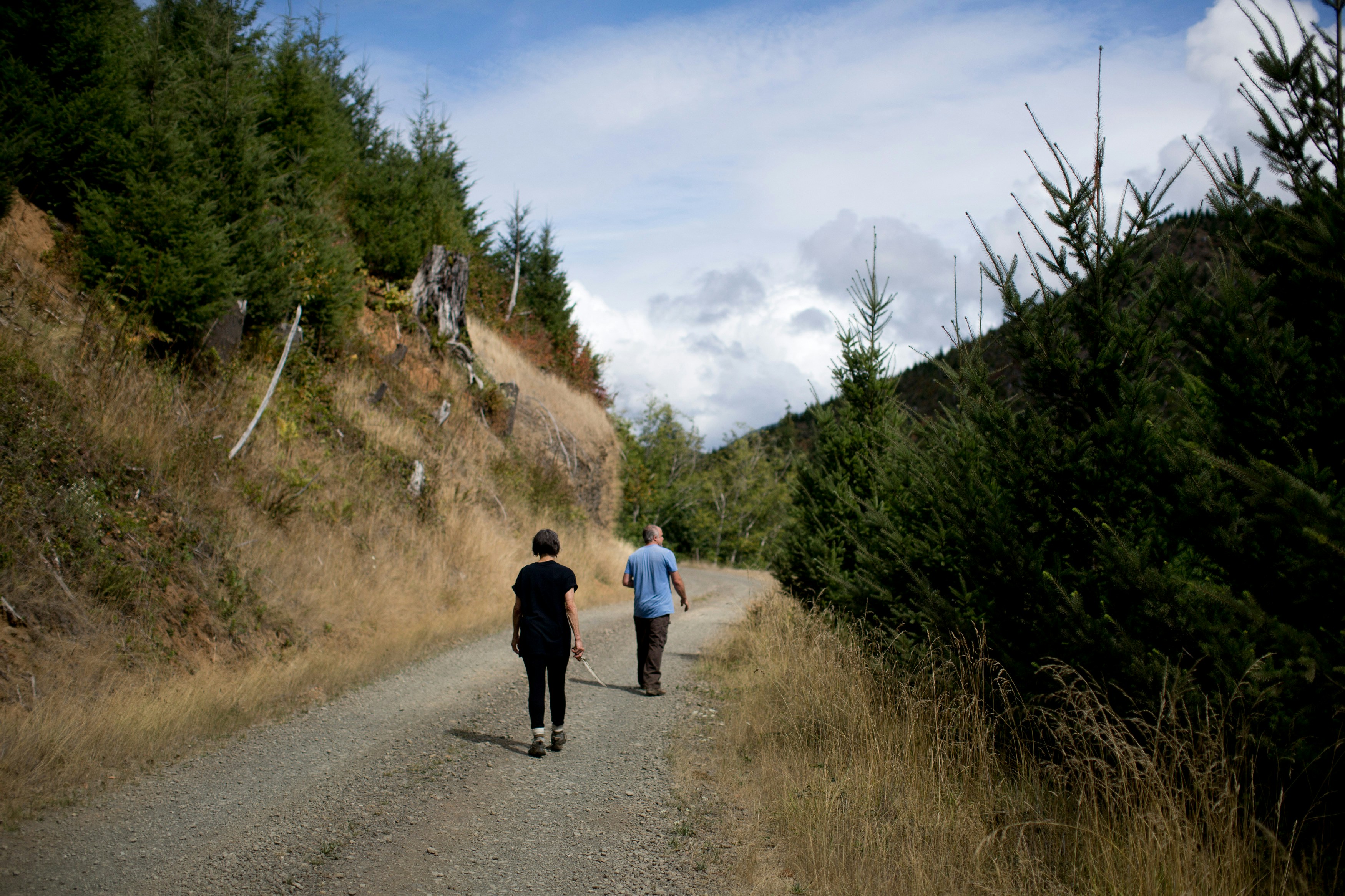 OREGON COAST, OR - SEPTEMBER 8: Barbara Davis and Rio Davidson walk along a logging road on land owned by Weyerhaeuser along the Oregon coast mountains. September 8, 2018 (Photo by Beth Nakamura For The Intercept)