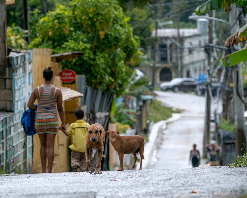 A lower-income area of the Mount Salem neighborhood of Montego Bay, photographed on May 18, 2018, which has been greatly affected by the violence and crime due to lotto scamming.