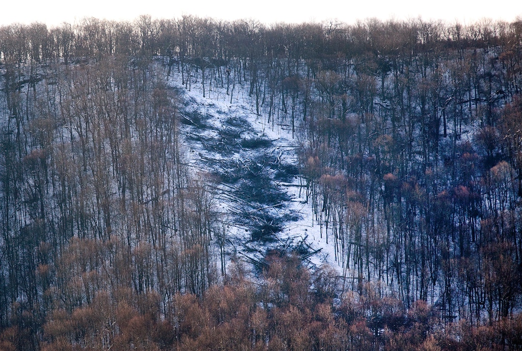 In this March 15, 2018 photo, downed trees appear on Peters Mountain in Monroe County, W. Va,  to make way for the Mountain Valley Pipeline route. Two tree sitters say they have been living on two wooden platforms hoisted high above two trees located towards the top of the mountain since Feb. 26. (Erica Yoon/The Roanoke Times via AP)