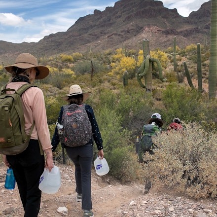 AJO, ARIZONA - MAY 10: Volunteers for the humanitarian aid organization No More Deaths walk with jugs of water for undocumented immigrants on May 10, 2019 near Ajo, Arizona. The volunteers distributed the aid along remote desert trails where immigrants pass after crossing the border from Mexico. The number of immigrant deaths, mostly due to dehydration and exposure, has risen as higher border security in urban border areas has pushed immigrant crossing routes into more remote desert regions. No More Deaths volunteer Scott Warren is scheduled to appear in federal court on May 29 in Tucson, charged by the U.S. government on two counts of harboring and one count of conspiracy for providing food, water, and beds to two Central American immigrants in January, 2018. If found guilty Warren could face up to 20 years in prison. The trial is seen as a watershed case by the Trump Administration, as it pressures humanitarian organizations working to reduce suffering and deaths of immigrants in remote areas along the border. The government claims the aid encourages human smuggling. In a separate misdemeanor case, federal prosecutors have charged Warren with abandonment of property, for distributing food and water along migrant trails.  (Photo by John Moore/Getty Images)