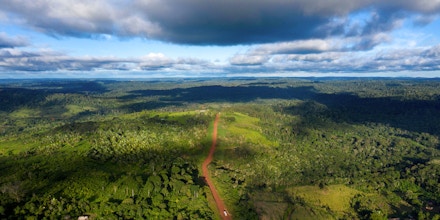 TOPSHOT - Aerial view of the Transamazonica Road (BR-230) near Medicilandia, Para State, Brazil on March 13, 2019. - According to the NGO Imazon, deforestation in the Amazonia increased in a 54% in January, 2019 -the first month of Brazilian President Jair Bolsonaro's term- compared to the same month of 2018. Para state concentrates the 37% of the devastated areas. (Photo by Mauro Pimentel / AFP)        (Photo credit should read MAURO PIMENTEL/AFP/Getty Images)
