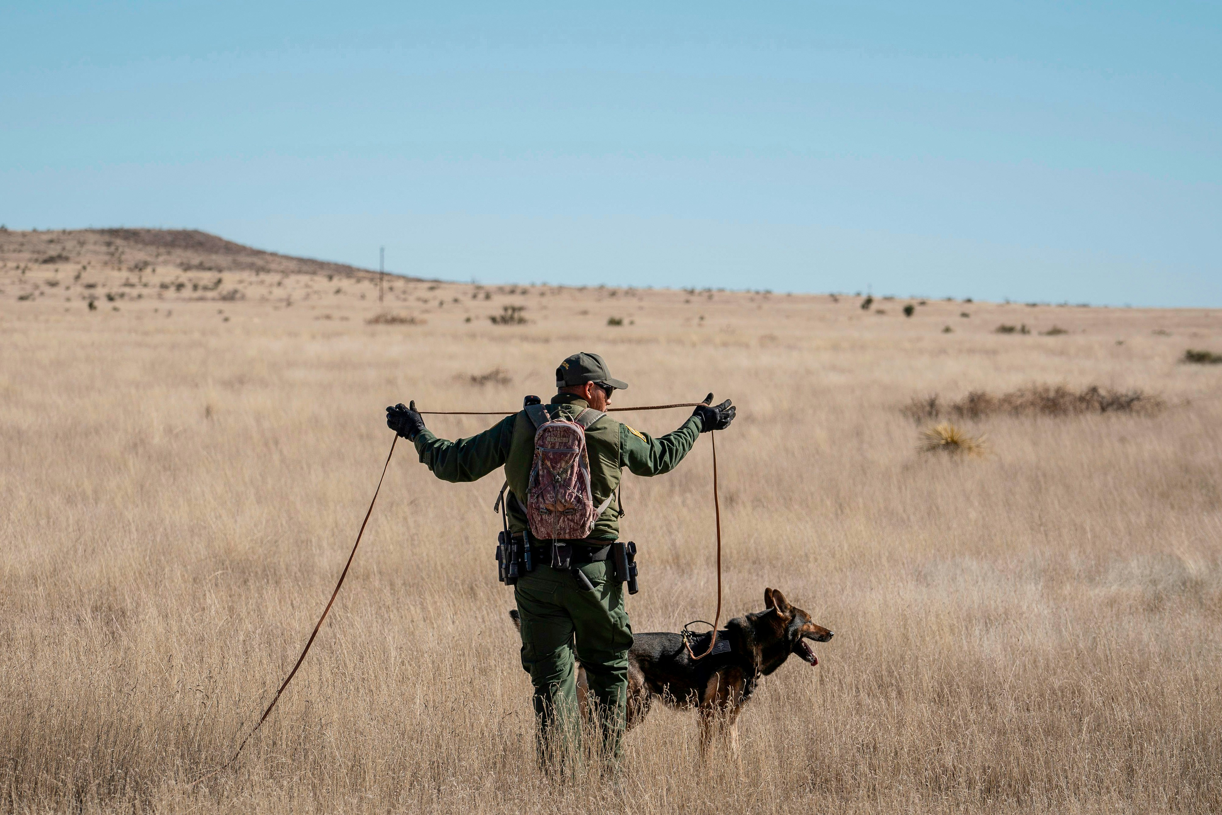 Canine Handler Agent Jose Solis, looks for the trail of suspects with his dog Max, a Belgian Malinois, Marfa, Texas on January 29, 2020. - Agents in the Big Bend Border Patrol Sector employ tracking techniques and spend a lot of time on foot and on horseback to pursue smugglers, and drug or human traffickers through the remote terrain of West Texas. (Photo by Paul Ratje / AFP) (Photo by PAUL RATJE/AFP via Getty Images)