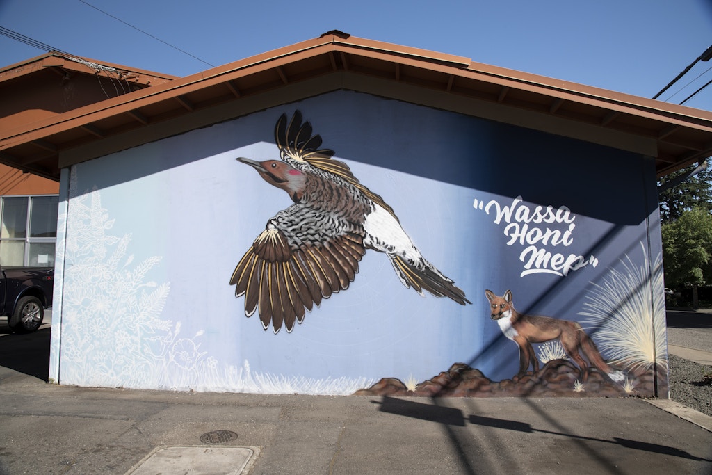 A mural by Ali Meders-Knight, a practitioner of traditional ecological knowledge and a member of the Mechoopda tribe, in Chico, Calif. Tuesday May 4, 2021. 
Salgu Wissmath for The Intercept