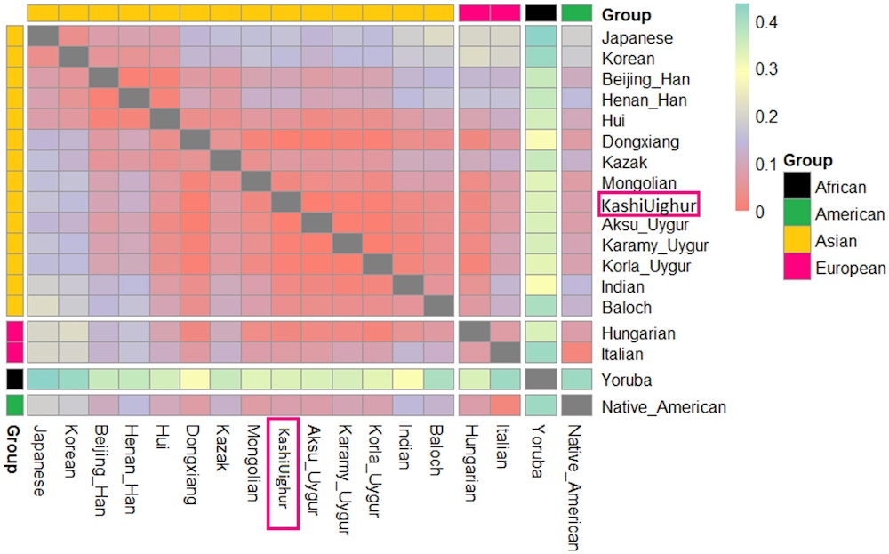 A figure purporting to represent the genetic distance between/among various ethnic groups, including Uyghur groups.