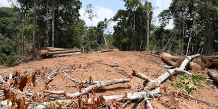 Picture of a deforested area taken during surveillance by officials from Para State, northern Brazil, in the Amazon rain forest in the municipality of Pacaja, 620 km from the capital Belem, on September 22, 2021. - The Amazon basin has, until recently, absorbed large amounts of humankind's ballooning carbon emissions, helping stave off the nightmare of unchecked climate change. But studies indicate the rainforest is hurtling toward a 