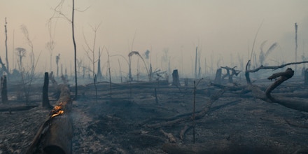 The scorched remnants of the Amazon rainforest after a blaze set by farmers tore through the land. (Credit: Alex Pritz/Amazon Land Documentary)