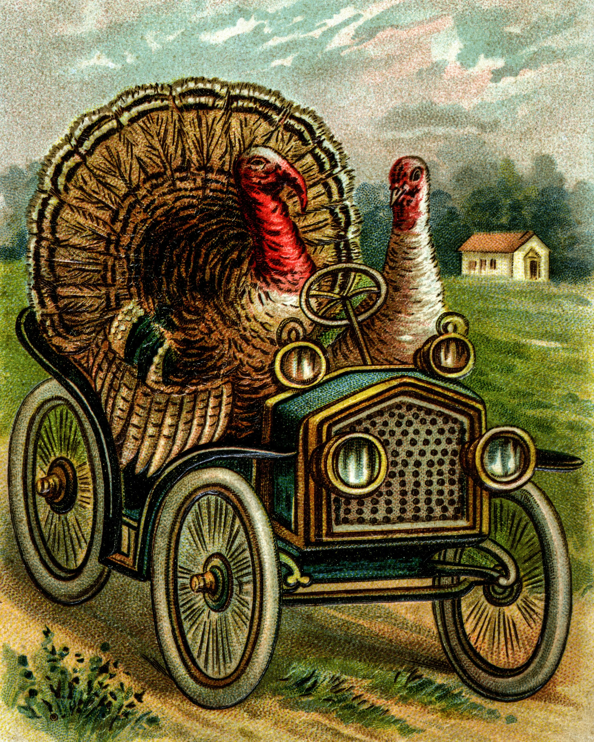 UNITED STATES - 1900: Two turkeys drive off on Sunday, hardly!  Chances are these guys know what's coming and are leaving town in their classic cars.  The person sending the vintage postcard is the person conveying their Thanksgiving wishes because the turkey probably won't enjoy the holiday all that much.  (Photo by Buyenlarge/Getty Images)