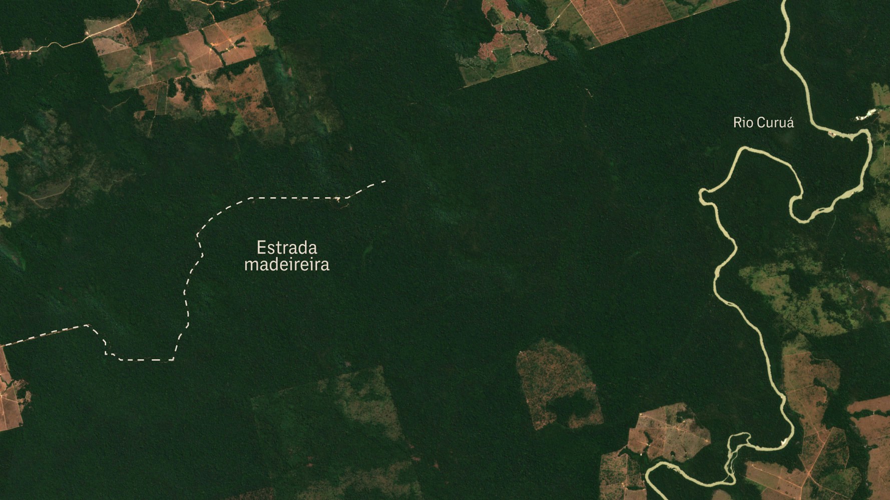 amazonia-pasto-desmatamento-soja-gado-estrada-madeireira