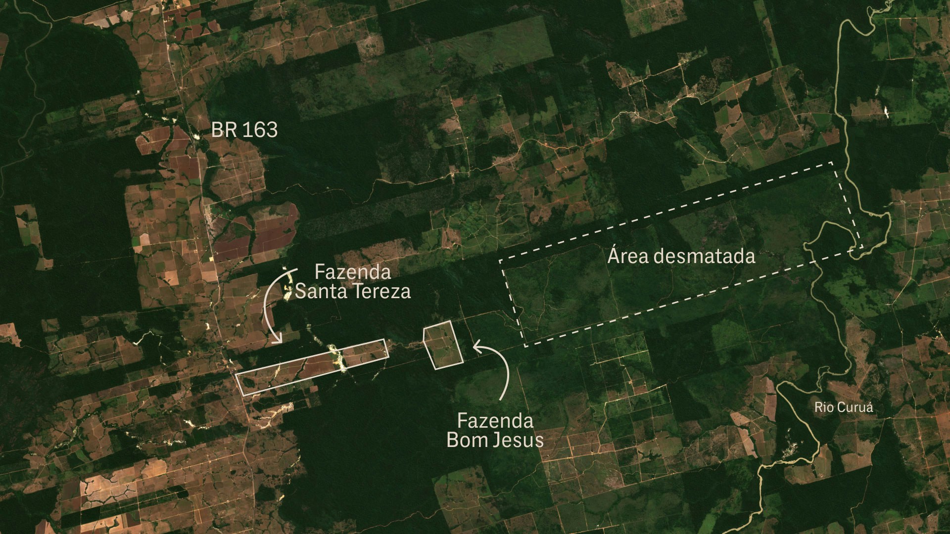 amazonia-pasto-desmatamento-soja-gado-fazendas-area-desmatada