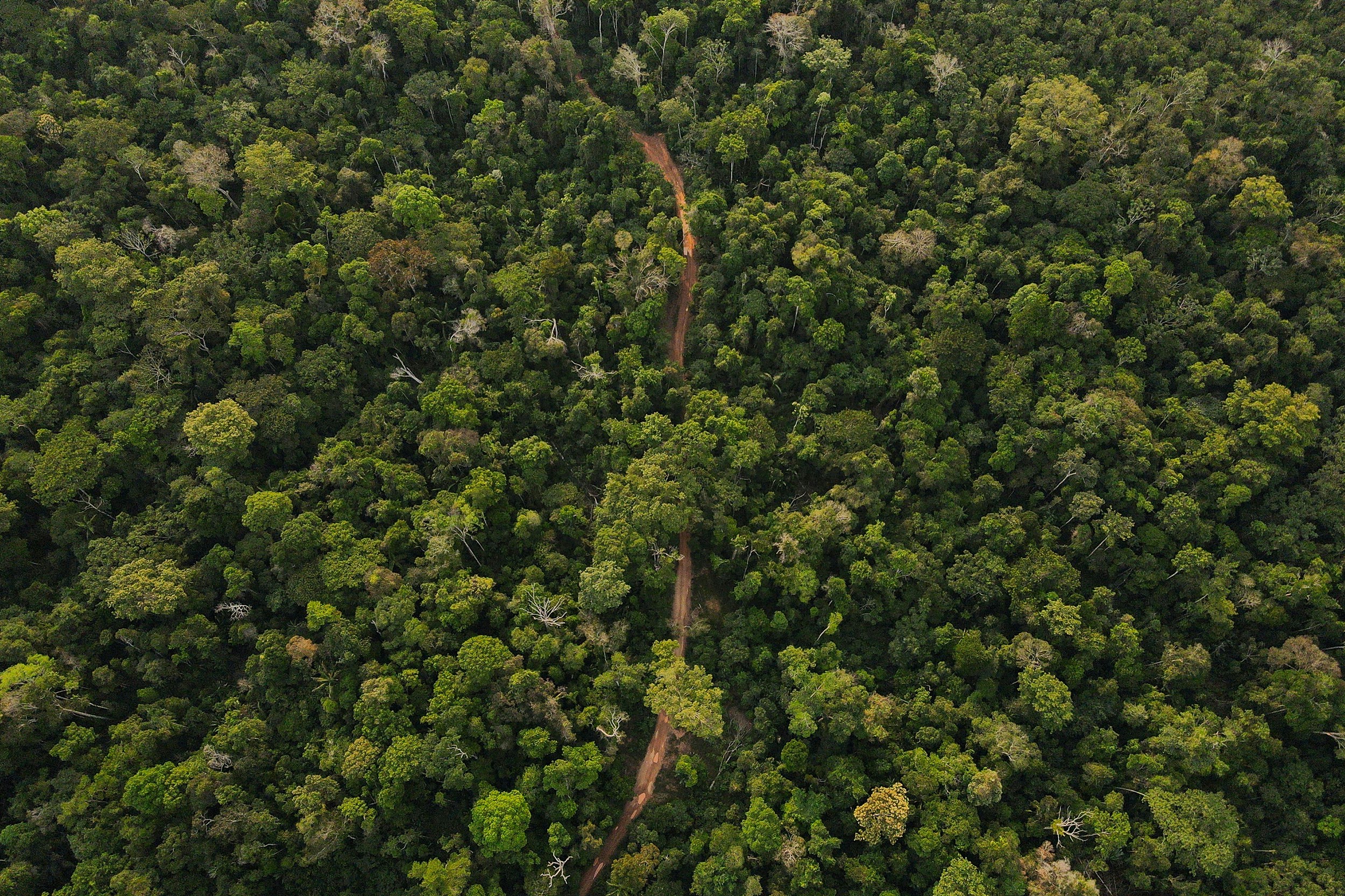 Vista aerea de estradas de retirada ilegal de madeira  nas proximidades da Aldeia Buriti na Terra Indigena Kaxarari, localizada proximo ao distrito de Vista Alegre do Abunã, dritrito de Porto Velho, Rondonia. 09 de agosto de 2022. Foto: Bruno Kelly